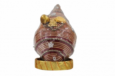 Coconut - Silk Thread Zari with Stone Work