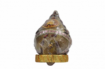 Coconut - Tissue Zari with Stone Work